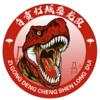 自貢隊
